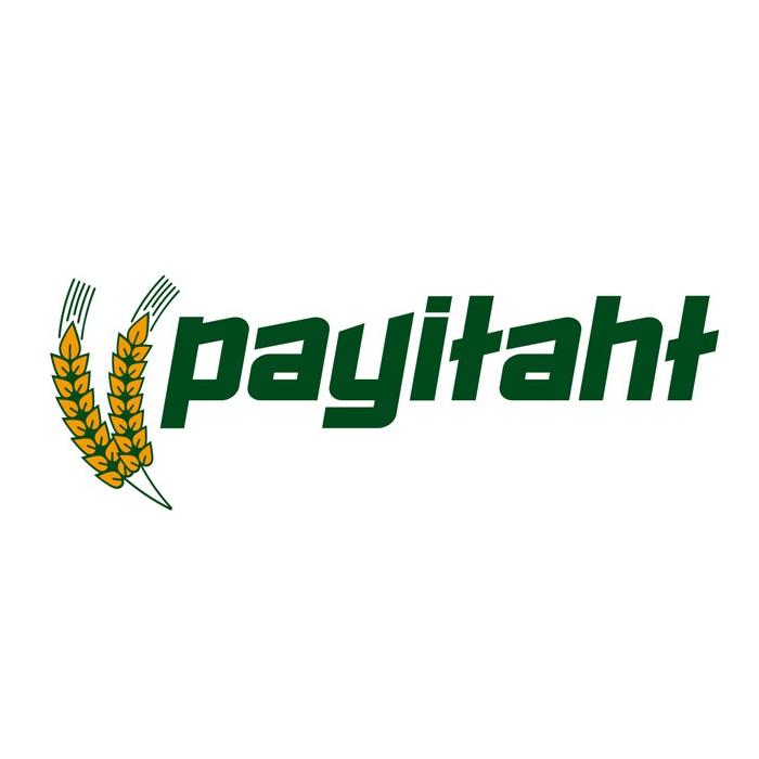 Payitaht